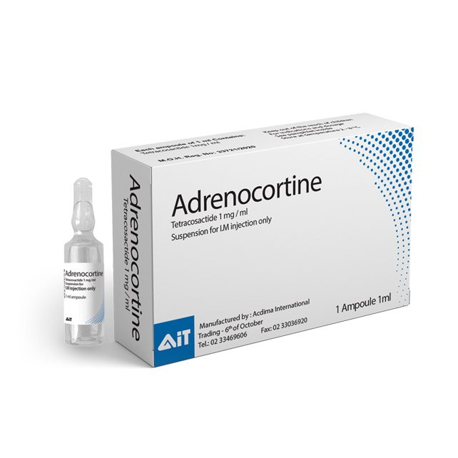 ADRENOCORTINE 1 AMP