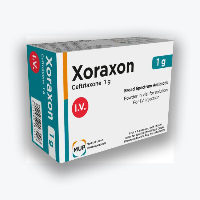 XORAXON 1 GM IV VIAL